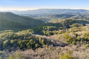 447 Pig Trl, Cherrylog, GA 30522 - Photo 67