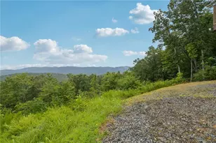 7709 Hwy 19 N, Dahlonega, GA 30533 - Photo 59