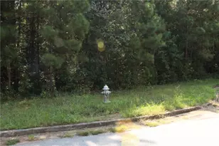 7718 Cheviot Dr, Winston, GA 30187 - Photo 15