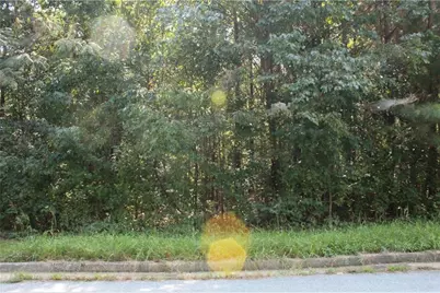 7718 Cheviot Drive, Winston, GA 30187 - Photo 11