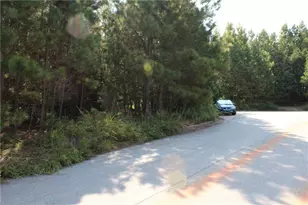 7732 Austin Ct, Winston, GA 30187 - Photo 19