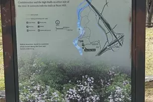 1214 Highland Bluff Dr SE Dr SE, Atlanta, GA 30339 - Photo 43