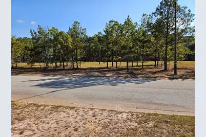 103 Redding Drive, Bremen, GA 30110 - Photo 3