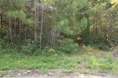 7728 Cheviot Drive, Winston, GA 30187 - Photo 15