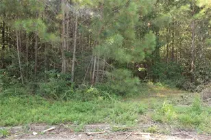 7728 Cheviot Dr, Winston, GA 30187 - Photo 15