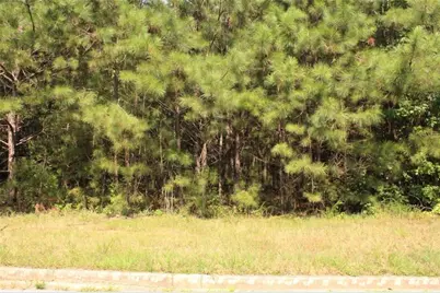 7699 Cheviot Drive, Winston, GA 30187 - Photo 7