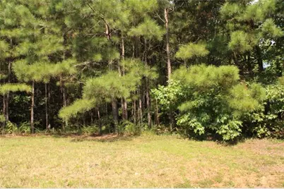 7699 Cheviot Drive, Winston, GA 30187 - Photo 9