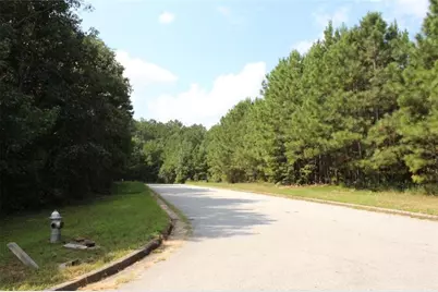 7699 Cheviot Drive, Winston, GA 30187 - Photo 11