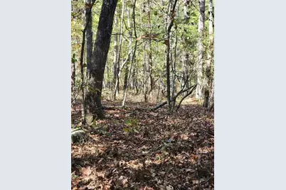 00 Pine Ridge Road, White, GA 30184 - Photo 3