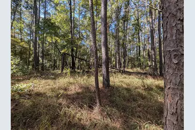 0 Woodland Way, Sparta, GA 31087 - Photo 7