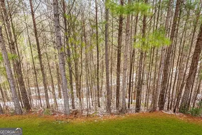 23 Carrington Way, Newnan, GA 30265 - Photo 35