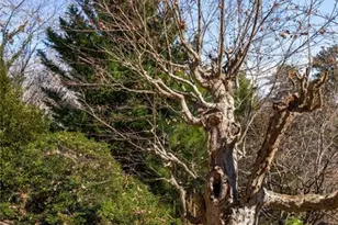 120 Overlook Dr, Gainesville, GA 30506 - Photo 47