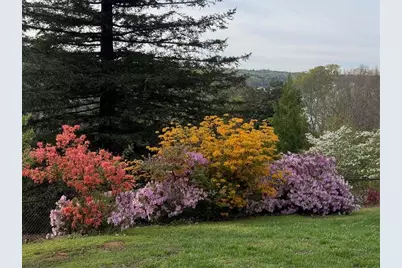 120 Overlook Drive, Gainesville, GA 30506 - Photo 3