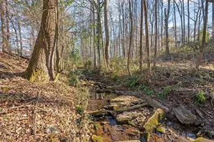 314 Wooded Glen Ln, Carrollton, GA 30117 - Photo 49