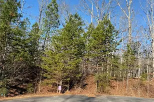 426 Rockhouse Xing, Demorest, GA 30535 - Photo 15