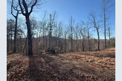 426 Rockhouse Crossing, Demorest, GA 30535 - Photo 13