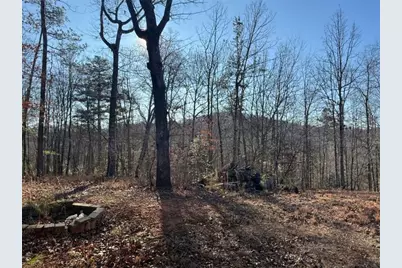 426 Rockhouse Crossing, Demorest, GA 30535 - Photo 7