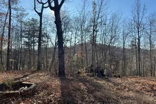 426 Rockhouse Xing, Demorest, GA 30535 - Photo 7