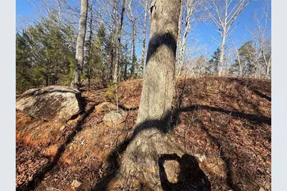 426 Rockhouse Crossing, Demorest, GA 30535 - Photo 9