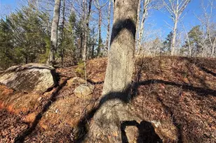 426 Rockhouse Xing, Demorest, GA 30535 - Photo 9