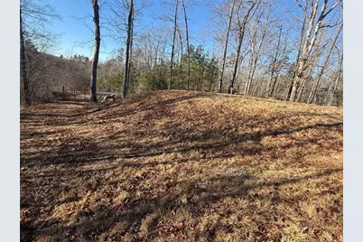 426 Rockhouse Crossing, Demorest, GA 30535 - Photo 3