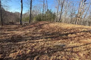 426 Rockhouse Xing, Demorest, GA 30535 - Photo 3