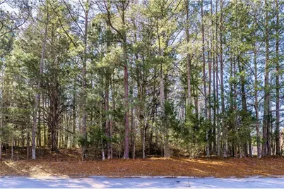 81 Smokerise Point, Peachtree City, GA 30269 - Photo 17