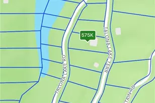 201 Talona Lake Terrace, Ellijay, GA 30536 - Photo 57