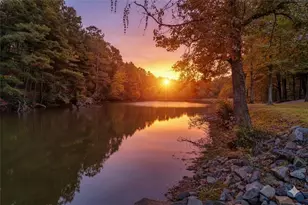 201 Talona Lake Terrace, Ellijay, GA 30536 - Photo 43