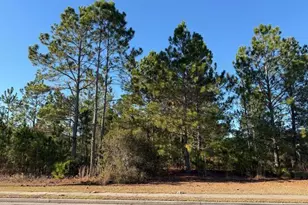 0 Weeping Willow Dr, Hinesville, GA 31313 - Photo 1