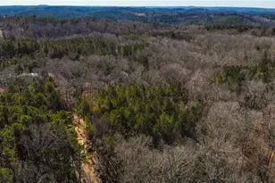 5 419 Acres On Pete Path, Dallas, GA 30157 - Photo 1