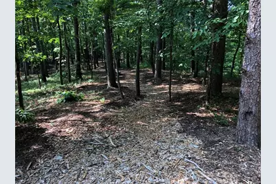 278 Vista View Parkway, Jasper, GA 30143 - Photo 13