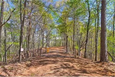 Tract1 Panorama, Dahlonega, GA 30533 - Photo 5