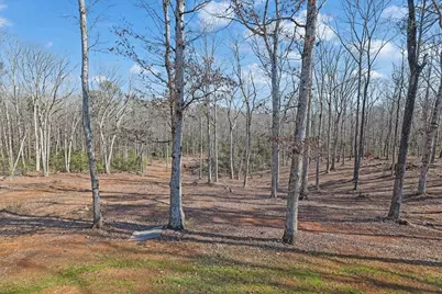 107 Holcomb Road, Dawsonville, GA 30534 - Photo 31