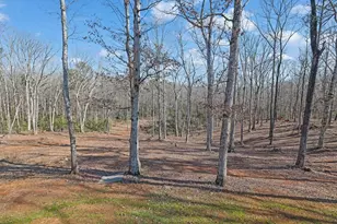 107 Holcomb Rd, Dawsonville, GA 30534 - Photo 31