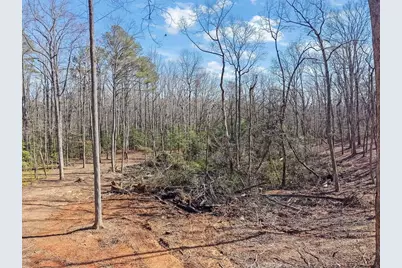 107 Holcomb Road, Dawsonville, GA 30534 - Photo 35