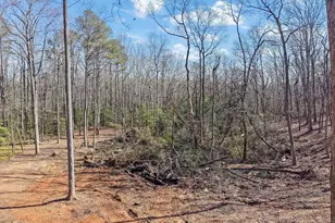 107 Holcomb Rd, Dawsonville, GA 30534 - Photo 35