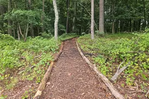 215 Winterberry Wy, Roswell, GA 30075 - Photo 11