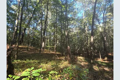 1504 Academy Church, Jefferson, GA 30549 - Photo 9