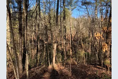 240 N Sanderlin Mtn Drive, Jasper, GA 30143 - Photo 1