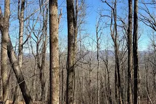 240 N Sanderlin Mtn Dr, Jasper, GA 30143 - Photo 1