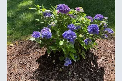 2915 Brookwater Drive, Cumming, GA 30041 - Photo 45