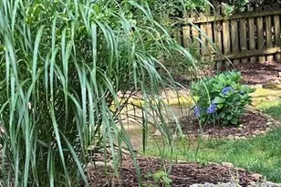 2915 Brookwater Dr, Cumming, GA 30041 - Photo 29