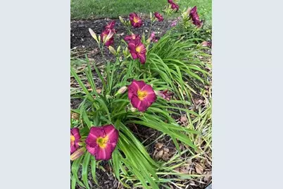 2915 Brookwater Drive, Cumming, GA 30041 - Photo 39