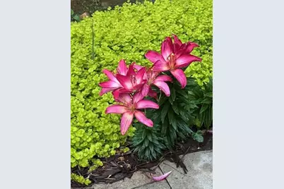 2915 Brookwater Drive, Cumming, GA 30041 - Photo 41