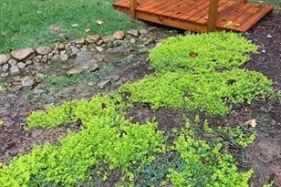 2915 Brookwater Dr, Cumming, GA 30041 - Photo 31