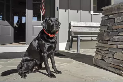 72 Buckeye Ridge, Newnan, GA 30263 - Photo 79