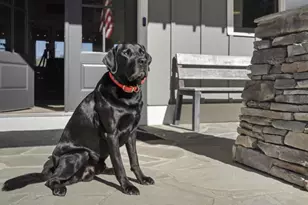 72 Buckeye Ridge, Newnan, GA 30263 - Photo 79