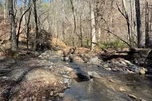 1769 Longbranch Dr, Ranger, GA 30734 - Photo 1