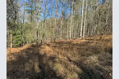 1769 Longbranch Drive, Ranger, GA 30734 - Photo 5